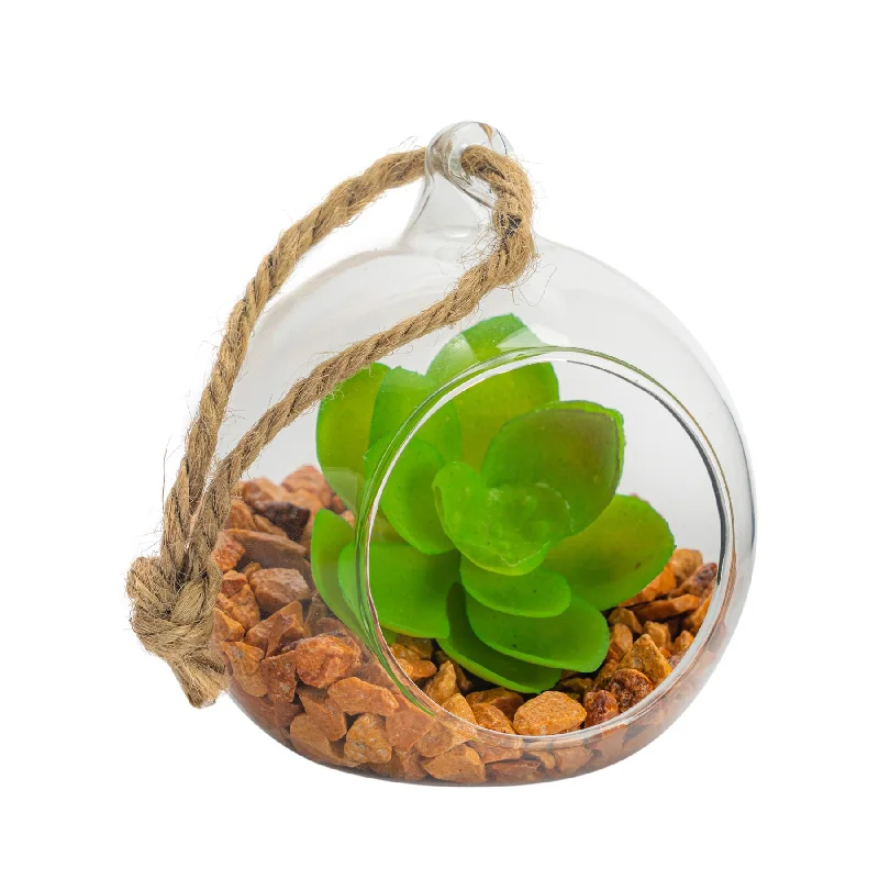 - ​​Christmas pet Christmas clothing8cm Hanging Glass Succulent Terrarium - By Nicola Spring