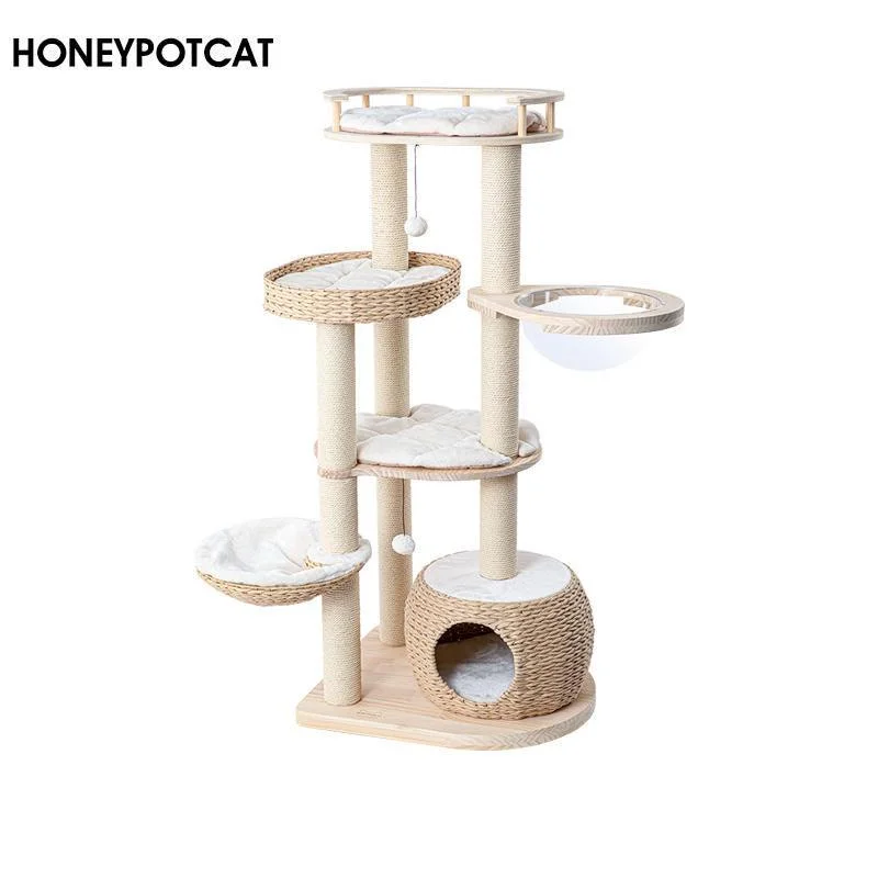 - Pet monitor with cameraHONEYPOT CAT Solid Wood Cat Tree 210012pro