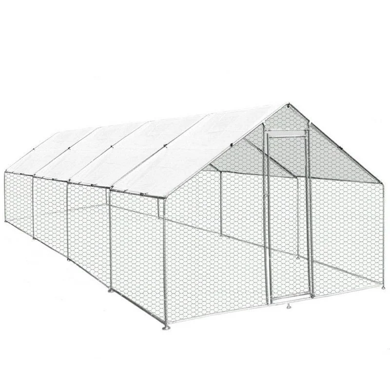 - Pregnant cat delivery room warming boxRaven Roam 9' 10" x 26' 2" Apex Chicken Run - Classic