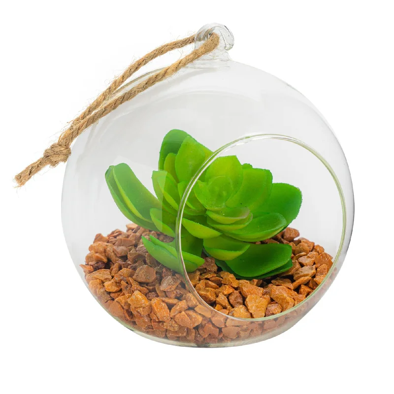 - Climbing pet constant temperature heating pad12cm Hanging Glass Succulent Terrarium - By Nicola Spring