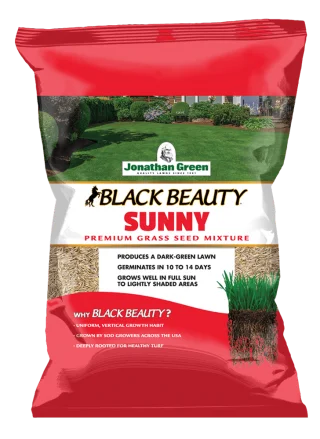 - ​​Pet toys under    yuanJonathan Green Black Beauty® Sunny Grass Seed