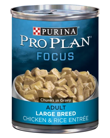 - Car dog seat beltPurina Pro Plan FOCUS Adult Large Breed Chicken & Rice Entrée Chunks In Gravy Wet Dog Food