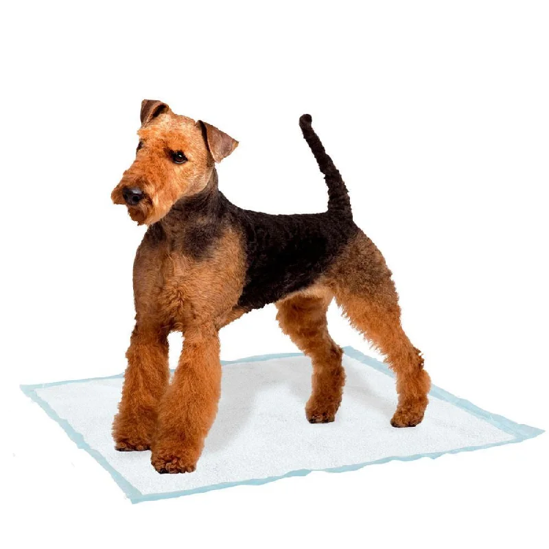 Pet accessoriesFerplast Genico Large Dog Mats