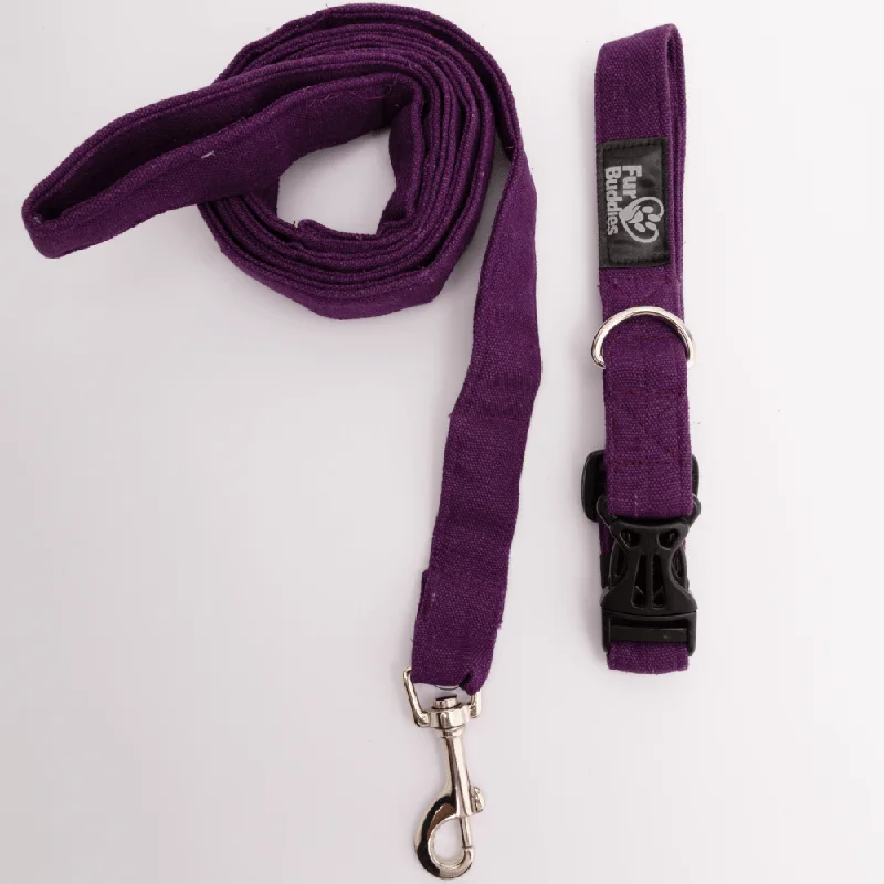 Pet accessoriesFurBuddies Amethyst Dream Collar & Leash Set for Dogs